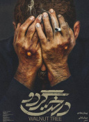 adc影库