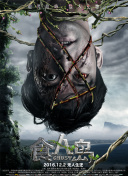 十大看黄的软件下载大全